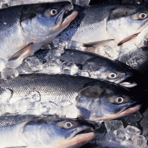 Wild salmon