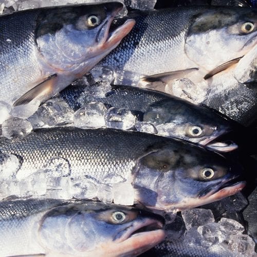 Wild salmon